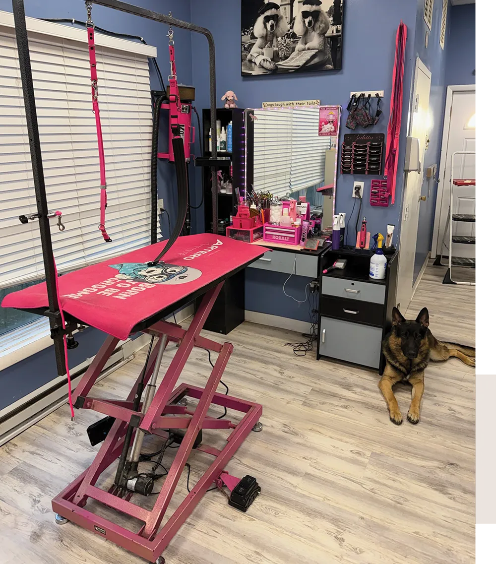 A blue waiting room in a pet salon featuring two tan chairs with "Muddy Paw" pillows, dog-themed art, and a retail display of colorful leashes and harnesses on the wall.