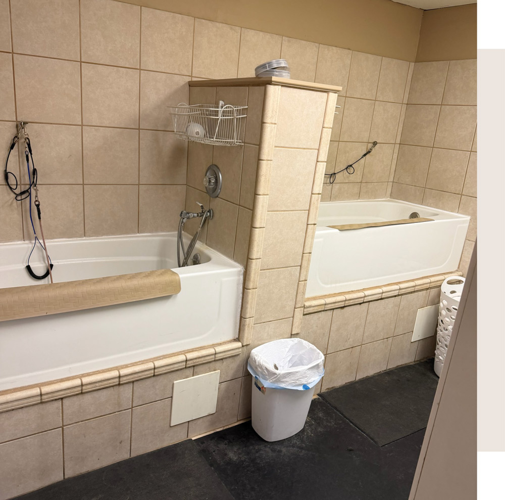 A pet washing station with two white built-in tubs, beige safety mats, and tiled walls. Handheld sprayers and safety tethers are installed for secure dog bathing.