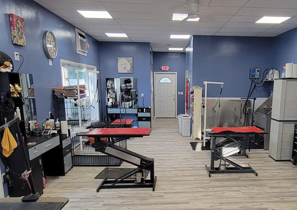 A wide view of a modern dog grooming salon with blue walls, multiple hydraulic tables, crates, and specialized equipment organized for professional pet care services.