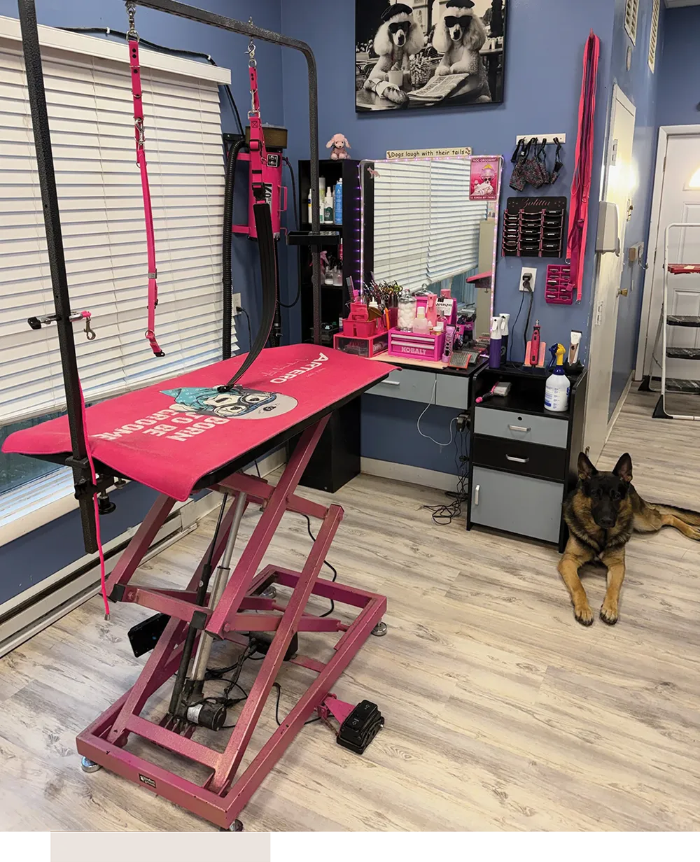 A blue waiting room in a pet salon featuring two tan chairs with "Muddy Paw" pillows, dog-themed art, and a retail display of colorful leashes and harnesses on the wall.