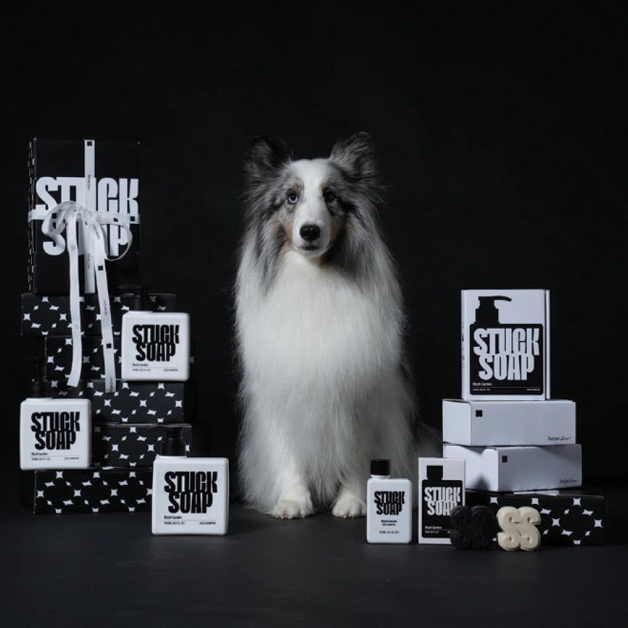 the STUCK SOAP products organized for display with a black and white dog seated in the middle of the displayed product line