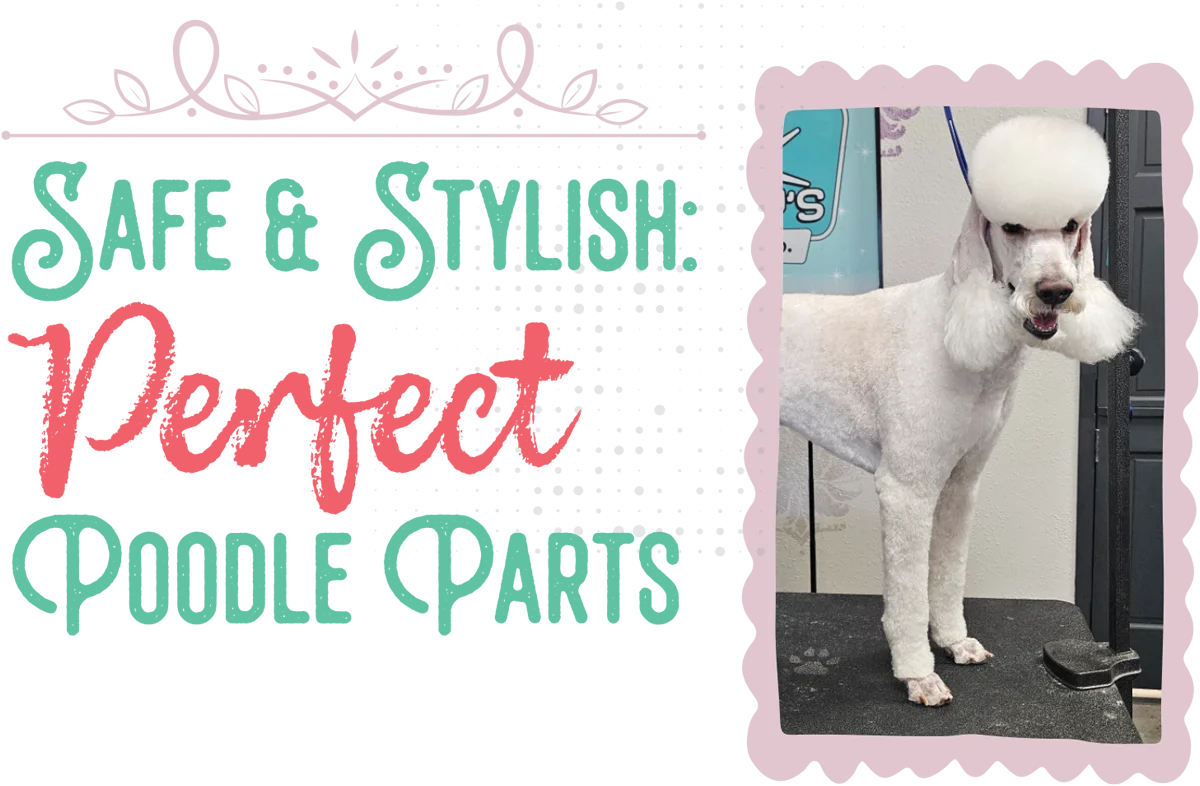 Safe & Stylish: Perfect Poodle Parts article imagery and typography