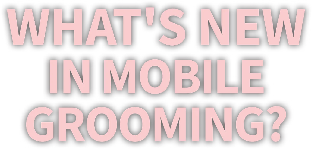 What’s New In Mobile Grooming? cover typography