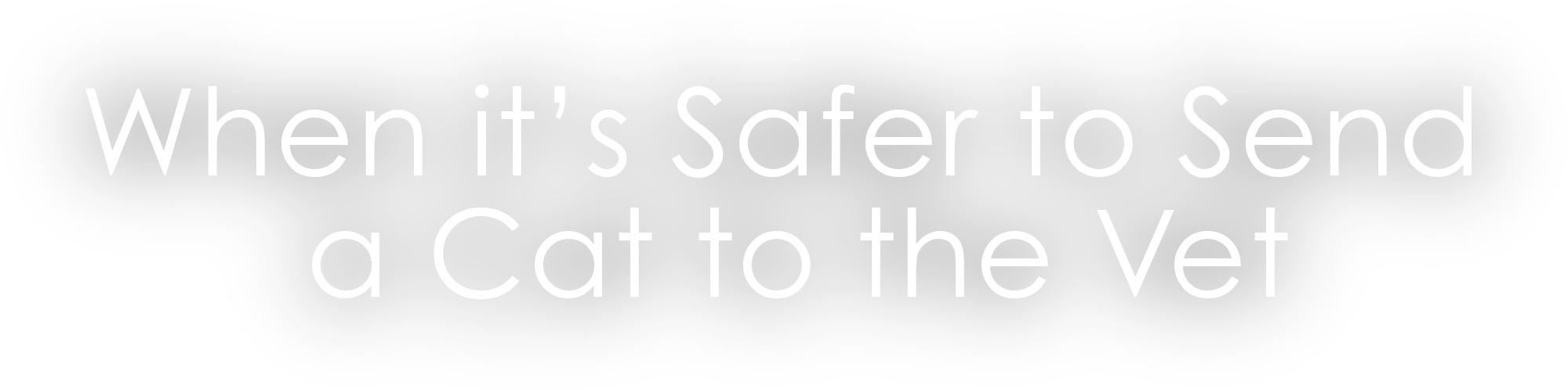 When it’s Safer to Send a Cat to the Vet