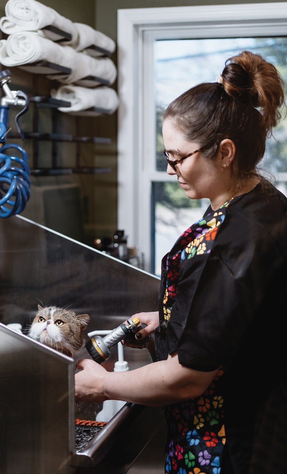 A woman bathing a fluffy cat in a stainless steel sink with a handheld showerhead.