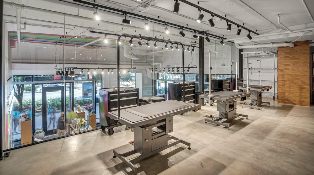 Wide interior view of a sleek, industrial-style dog grooming salon featuring multiple hydraulic tables, track lighting, and large windows.