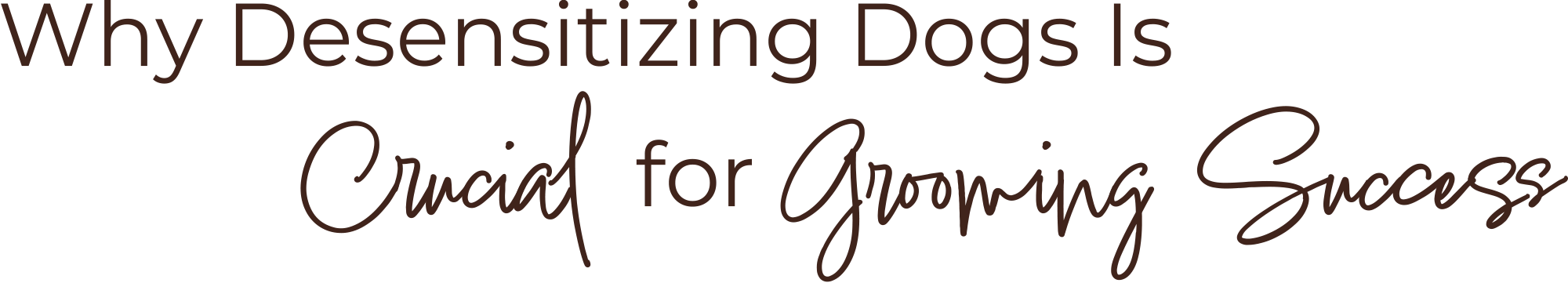 Why Desensitizing Dogs Is Crucial for Grooming Success