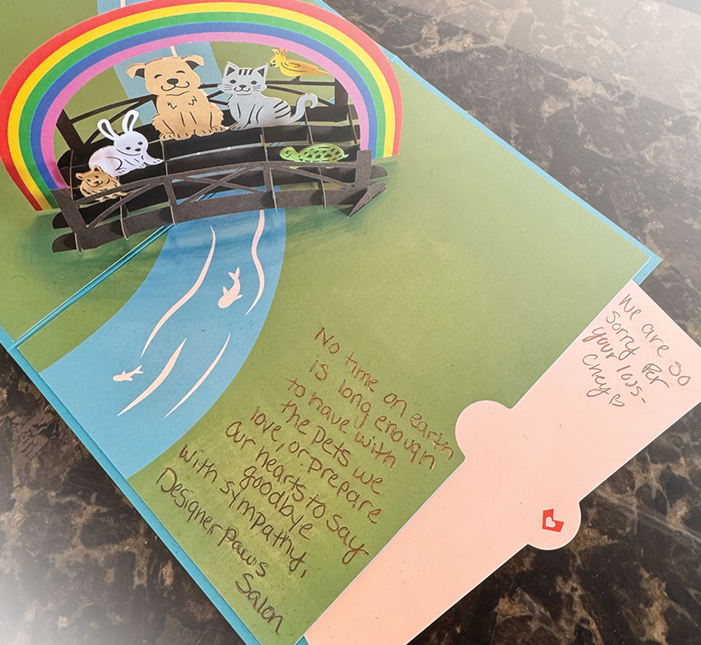 Close cropped view of an “Over the Rainbow” card with a pop up paper graphic with an illustration of a hmaster, rabbit, dog, cat, bird and turtle all smiling while sitting on a bridge under a rainbow.