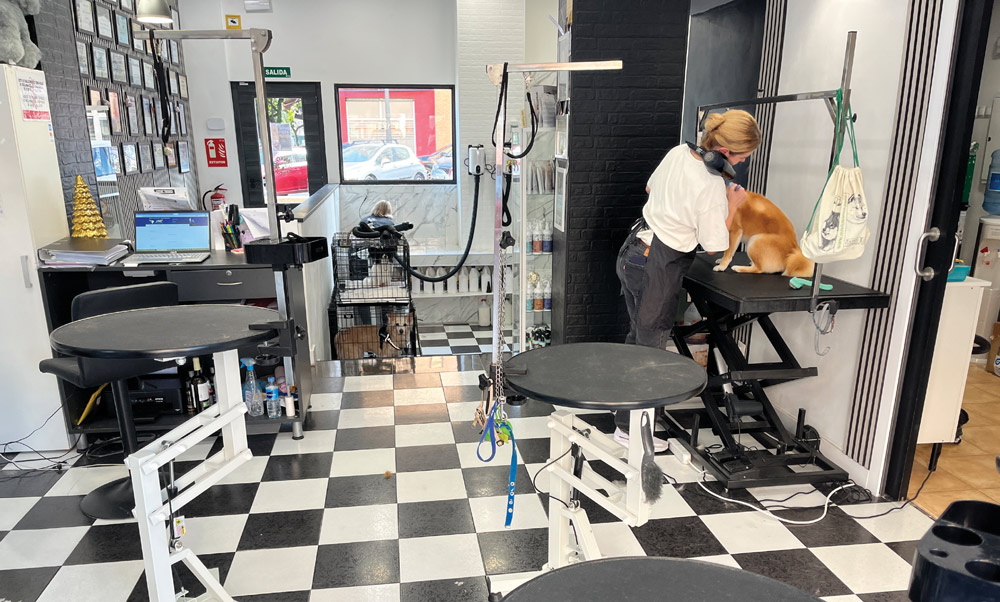 Interior view of a professional grooming salon with checkered floors, multiple hydraulic grooming tables, and walls lined with framed certificates and grooming equipment.