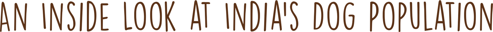 An Inside Look at India’s Dog Population