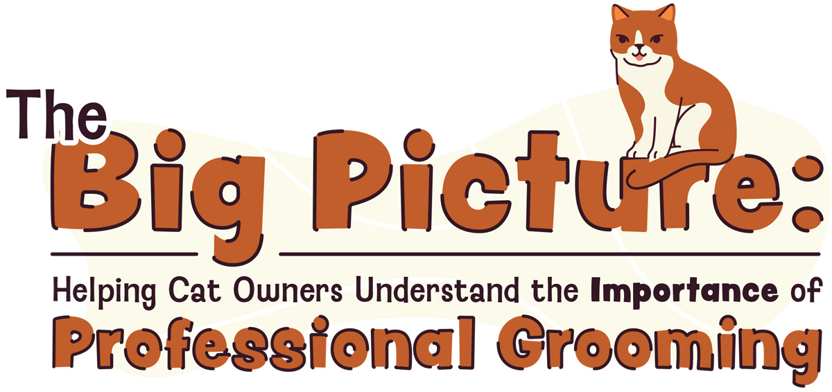The Big Picture: Helping Cat Owners Understand the Importance of Professional Grooming article imagery and typography