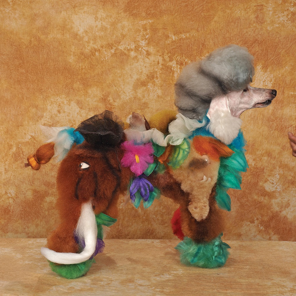 Milena Kon's Groom Expo West 2026 Creative Third Place contest photo