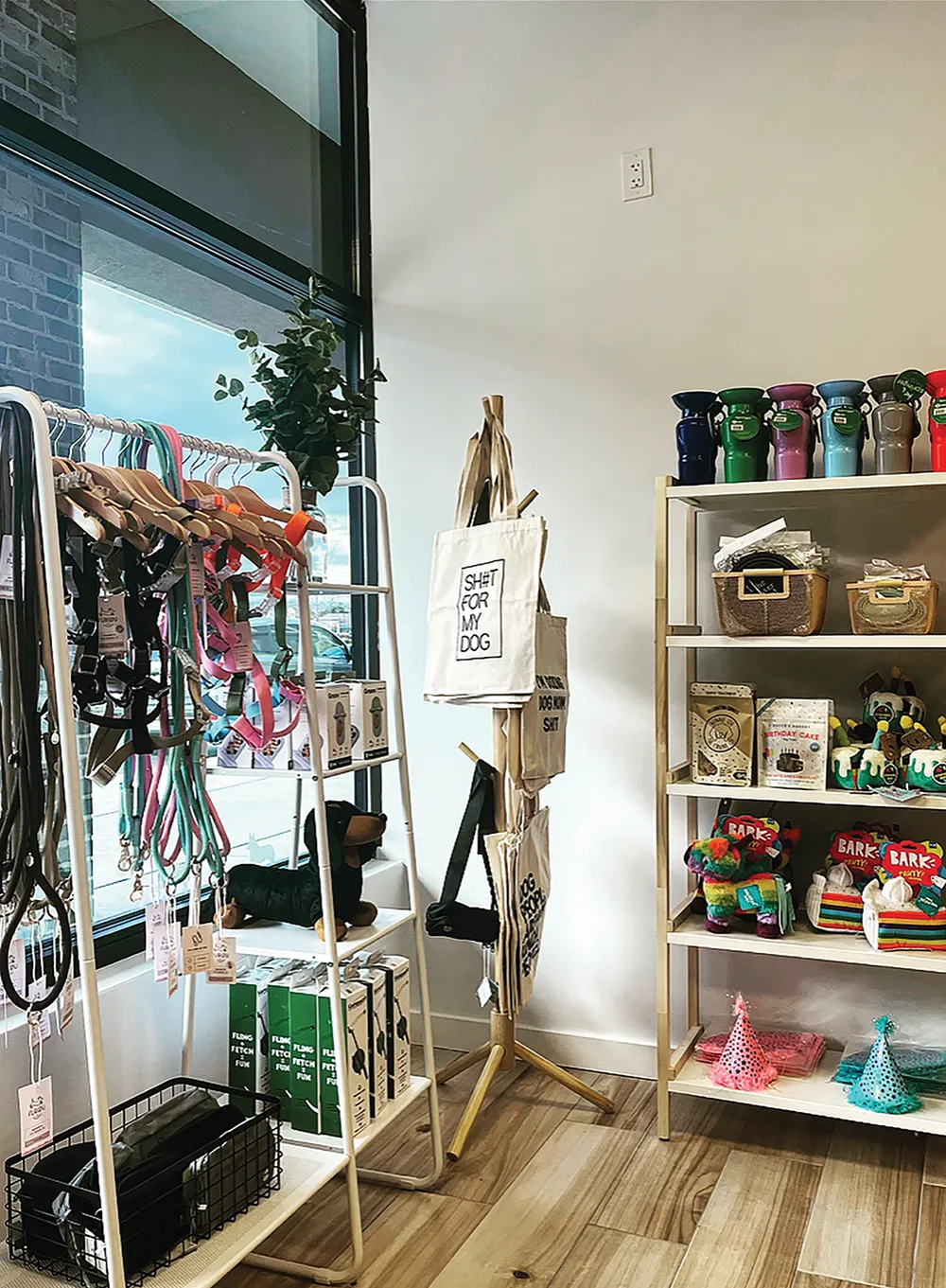 Interior view of a dog shop featuring shelves stocked with colorful leashes, harnesses, tote bags, and plush toys.