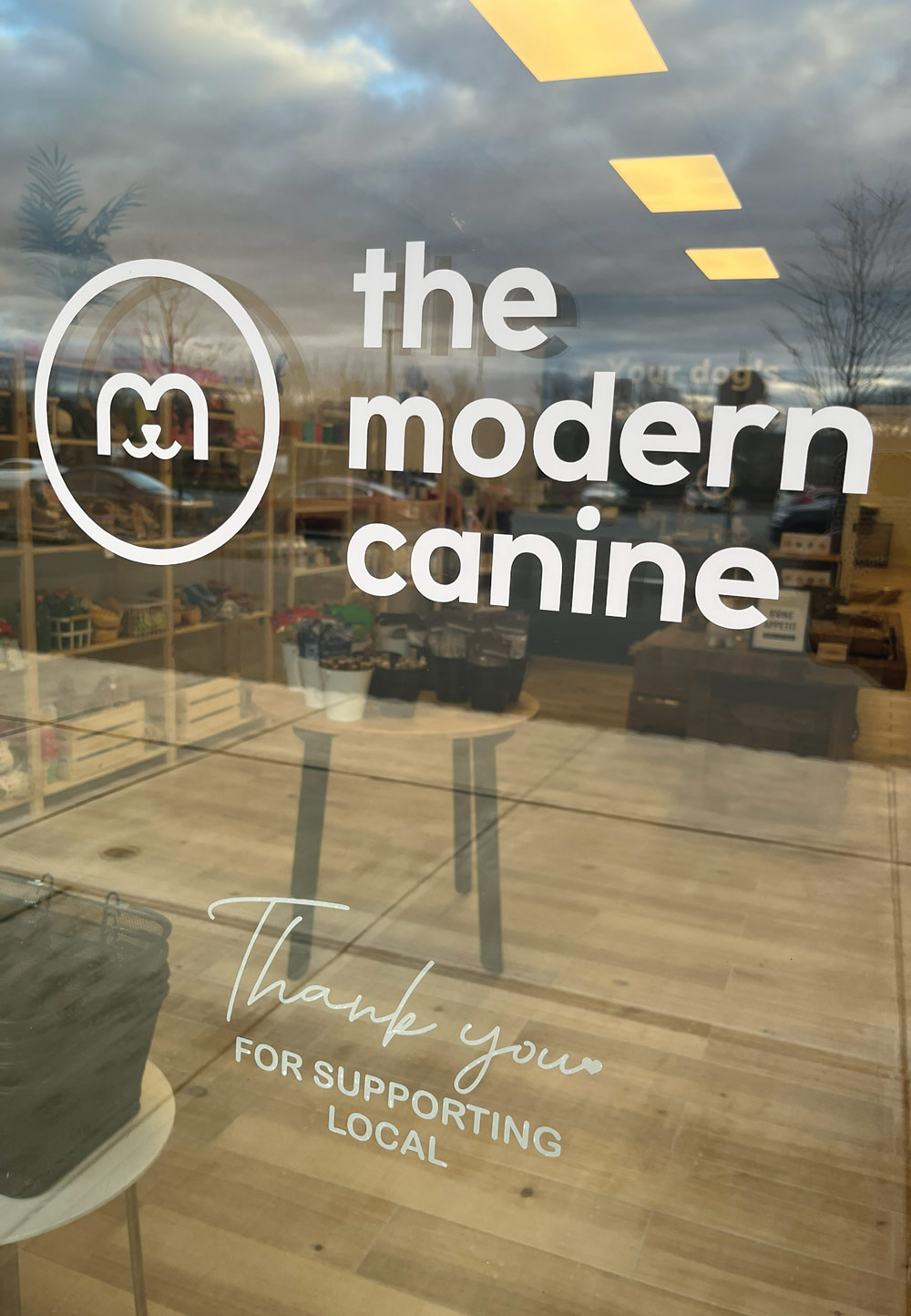 Storefront glass door with The Modern Canine logo and text that reads "Thank you for supporting local."