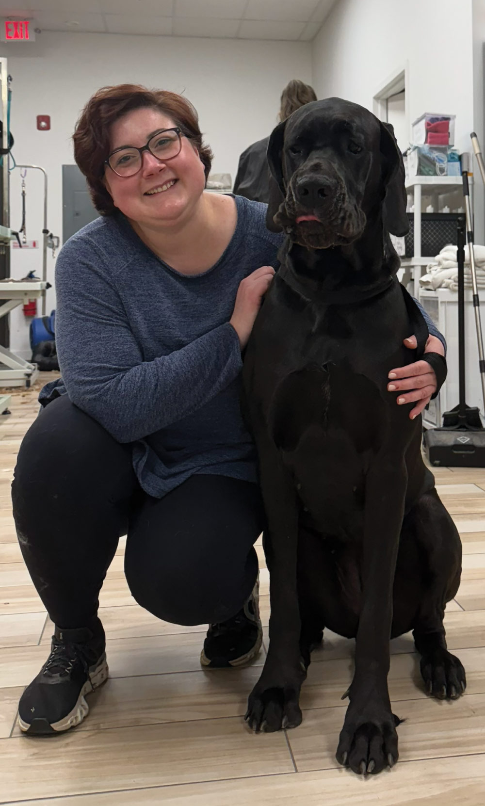 A woman kneeling next to a large, black Great Dane, with her hand resting gently on the dog.