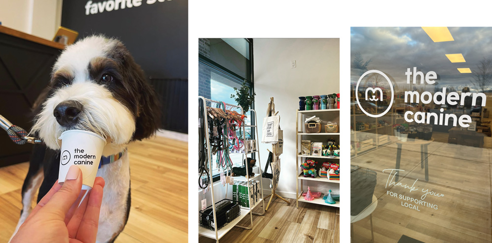 Collage: a dog eating from a logo cup, retail shelves filled with dog supplies, and the store's glass entrance with signage.