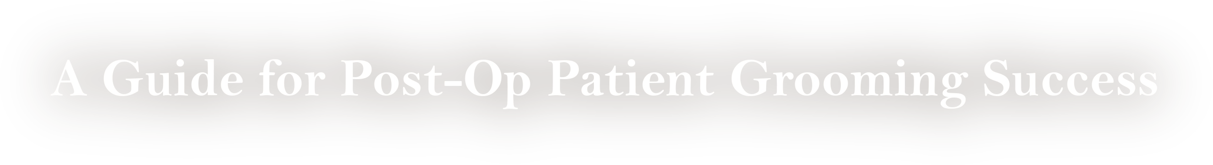 A Guide for Post-Op Patient Grooming Success