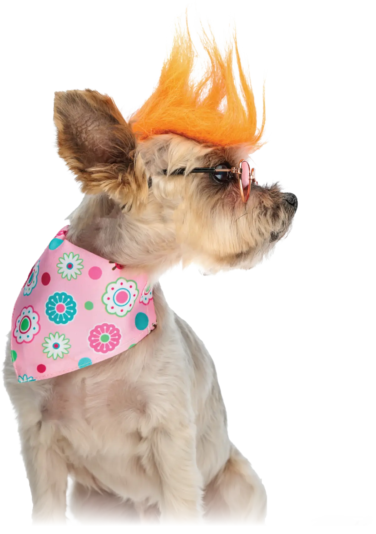 Small dog in profile wearing a bright orange mohawk wig, pink round sunglasses, and a pink floral bandana against a white background.