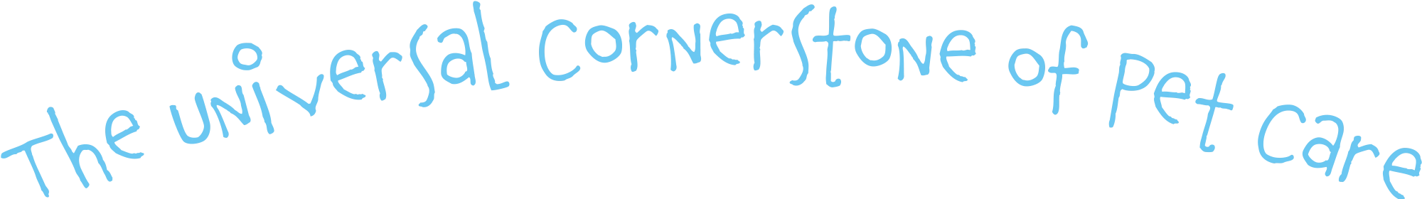 Light blue, whimsical handwritten text that reads "The universal cornerstone of pet care," arranged in a gentle upward arch.