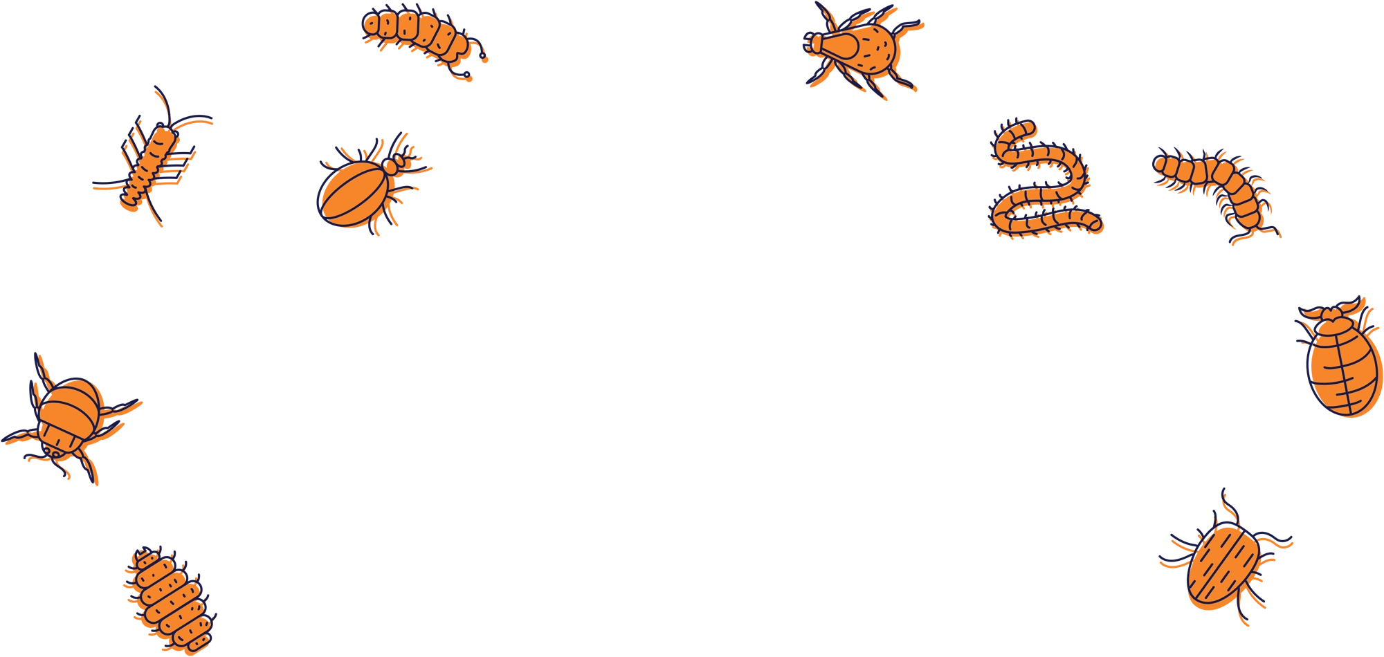 Stylized orange and dark blue line art illustrations of various parasites and insects, including ticks, fleas, and worms.
