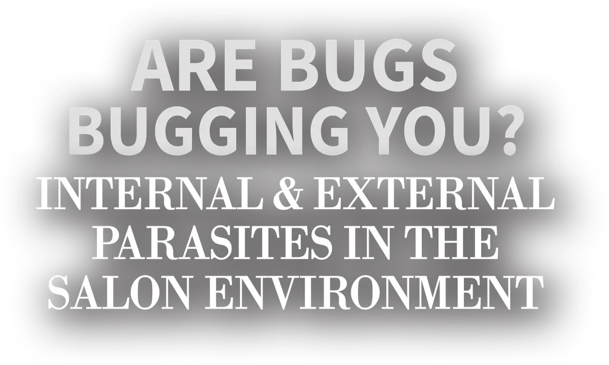 Are Bugs Bugging You? Internal and External Parasites in the Salon Environment cover typography