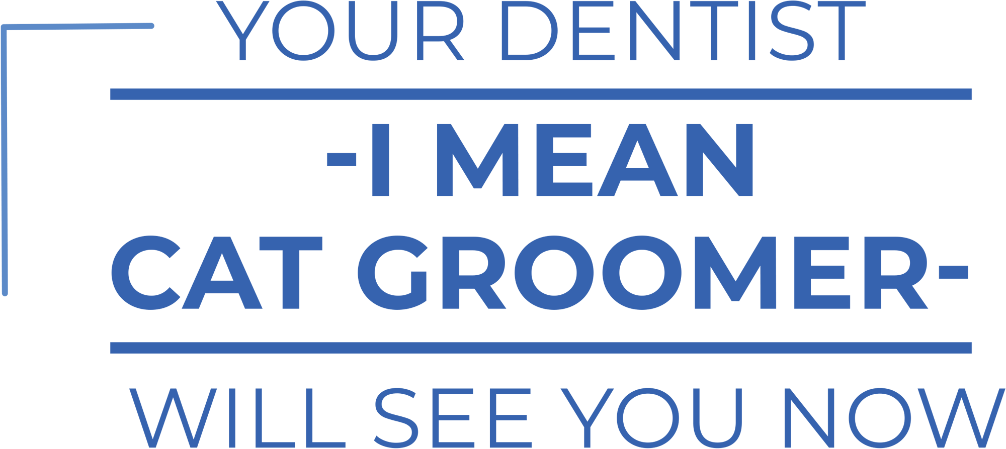 Your Dentist—I Mean Cat Groomer—Will See You Now