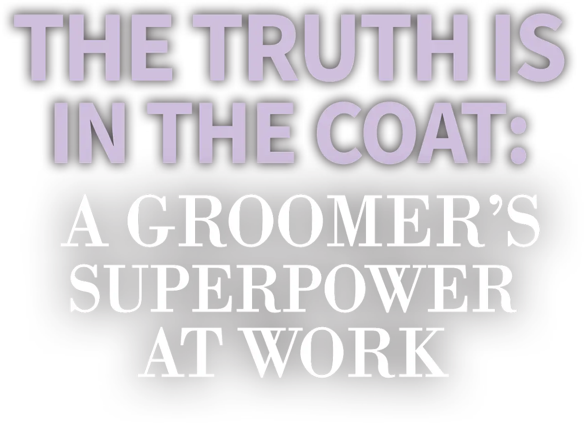 The Truth is in the Coat: A Groomer’s Superpower at Work cover typography