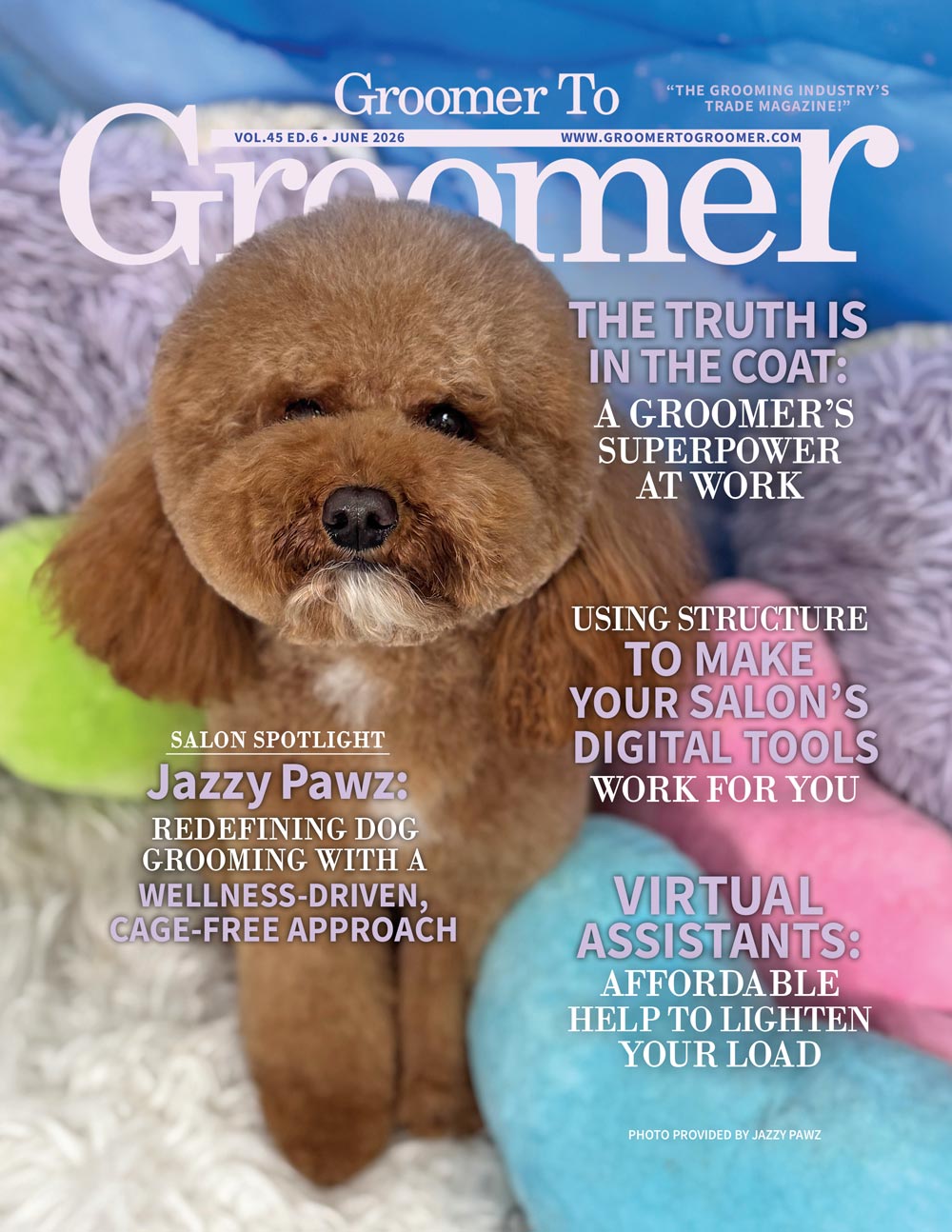 Groomer to Groomer June '26 cover