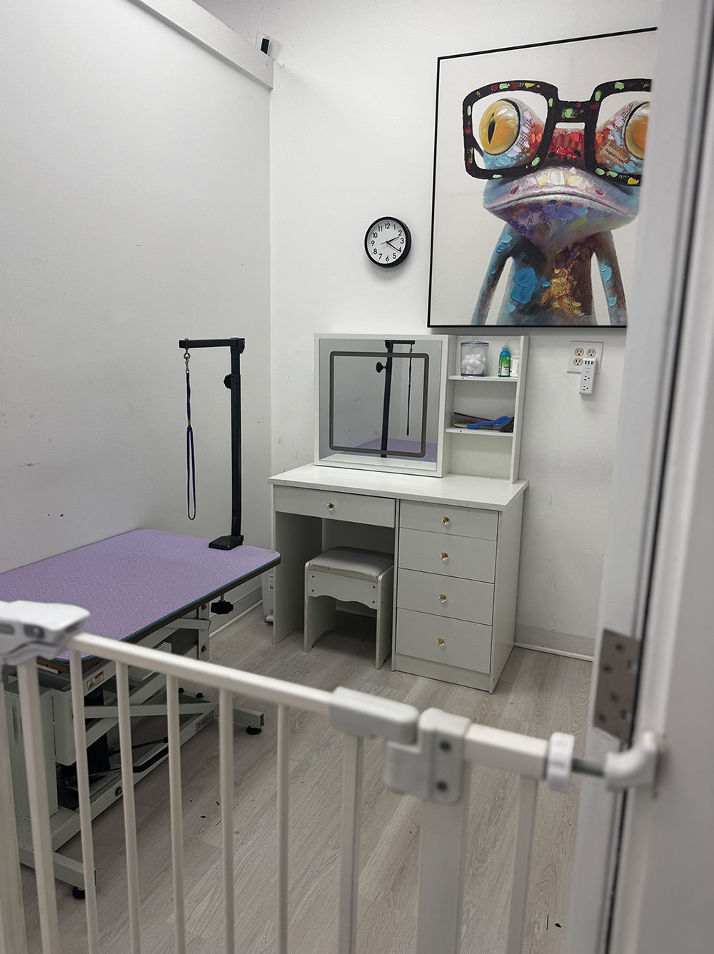 A private grooming suite viewed through a white gate, containing a purple table, a white vanity desk, and a colorful painting of a frog wearing glasses.