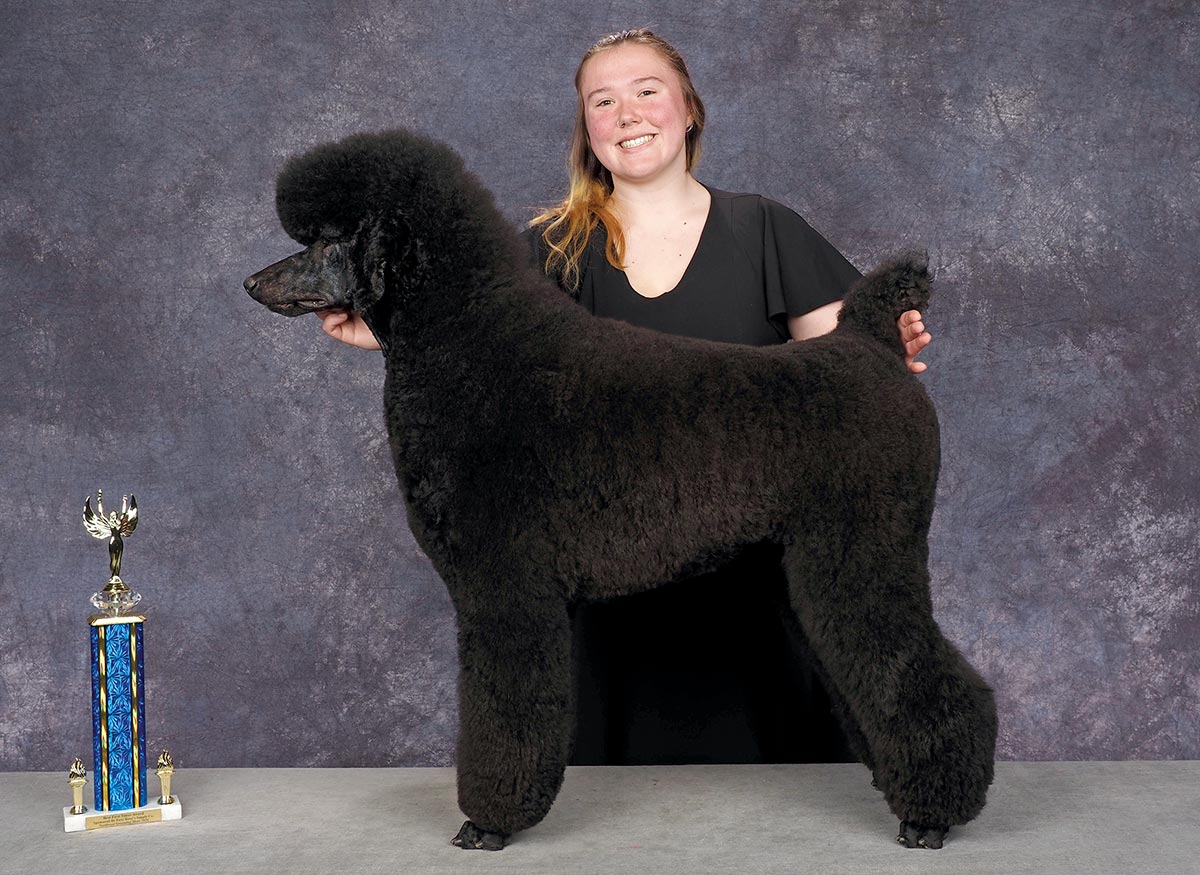 Josephine Hudson's Northwest Grooming Show 2026 Best First Timer contest photo