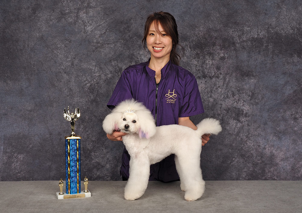 Naomi Mori's Northwest Grooming Show 2026 First Place Open contest photo