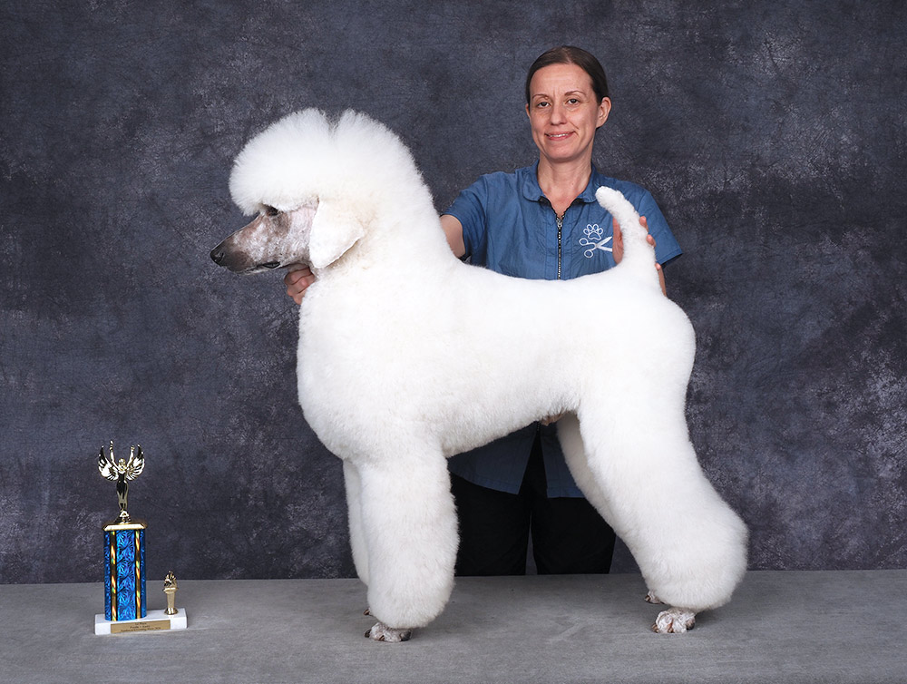 Jamie Mentzer's Northwest Grooming Show 2026 First Place Entry contest photo
