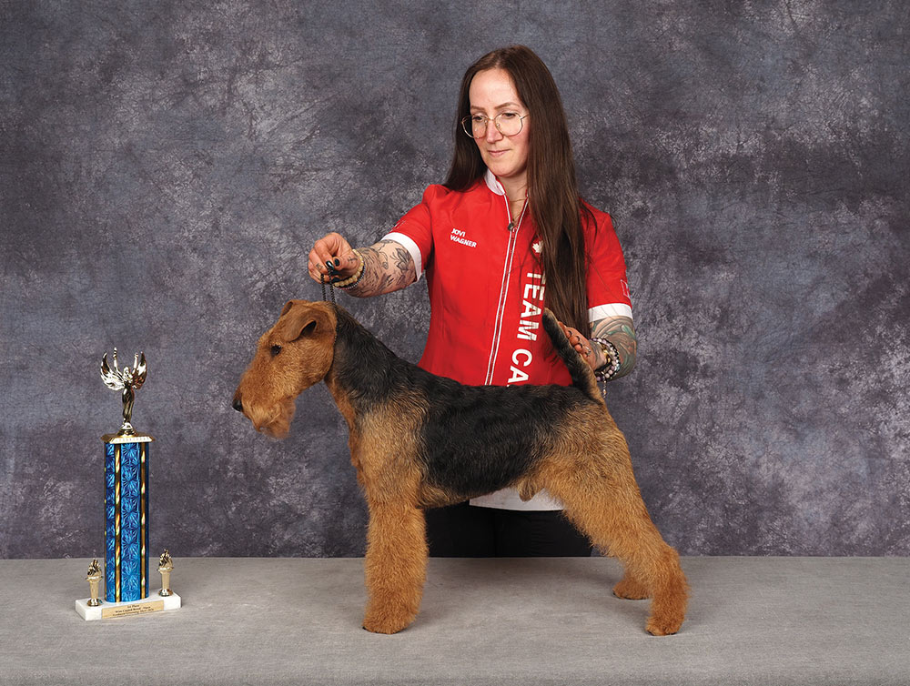 Jovi Wagner's Northwest Grooming Show 2026 First Place Open contest photo