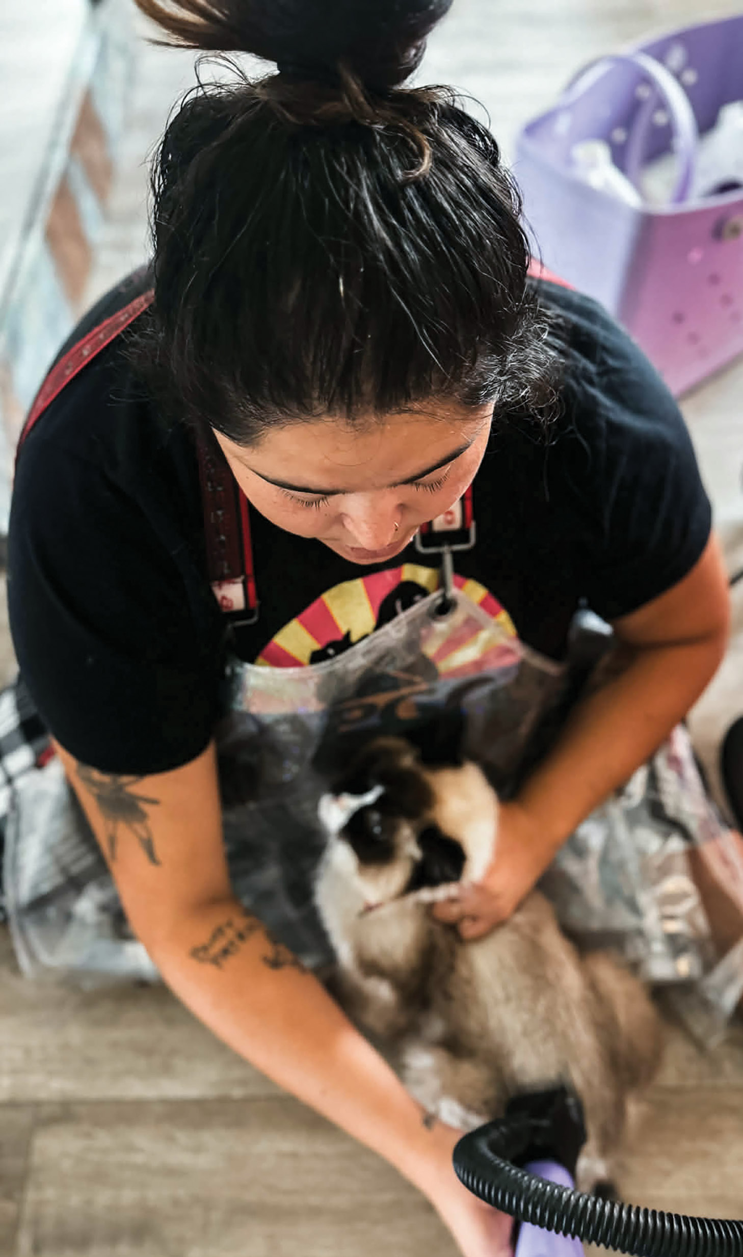 A high-angle view of Mercedes Schenk looking down as she uses a black dryer hose on a fluffy, light-colored cat with dark points on the floor.