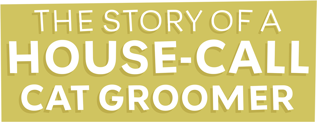 The Story of a House-Call Cat Groomer