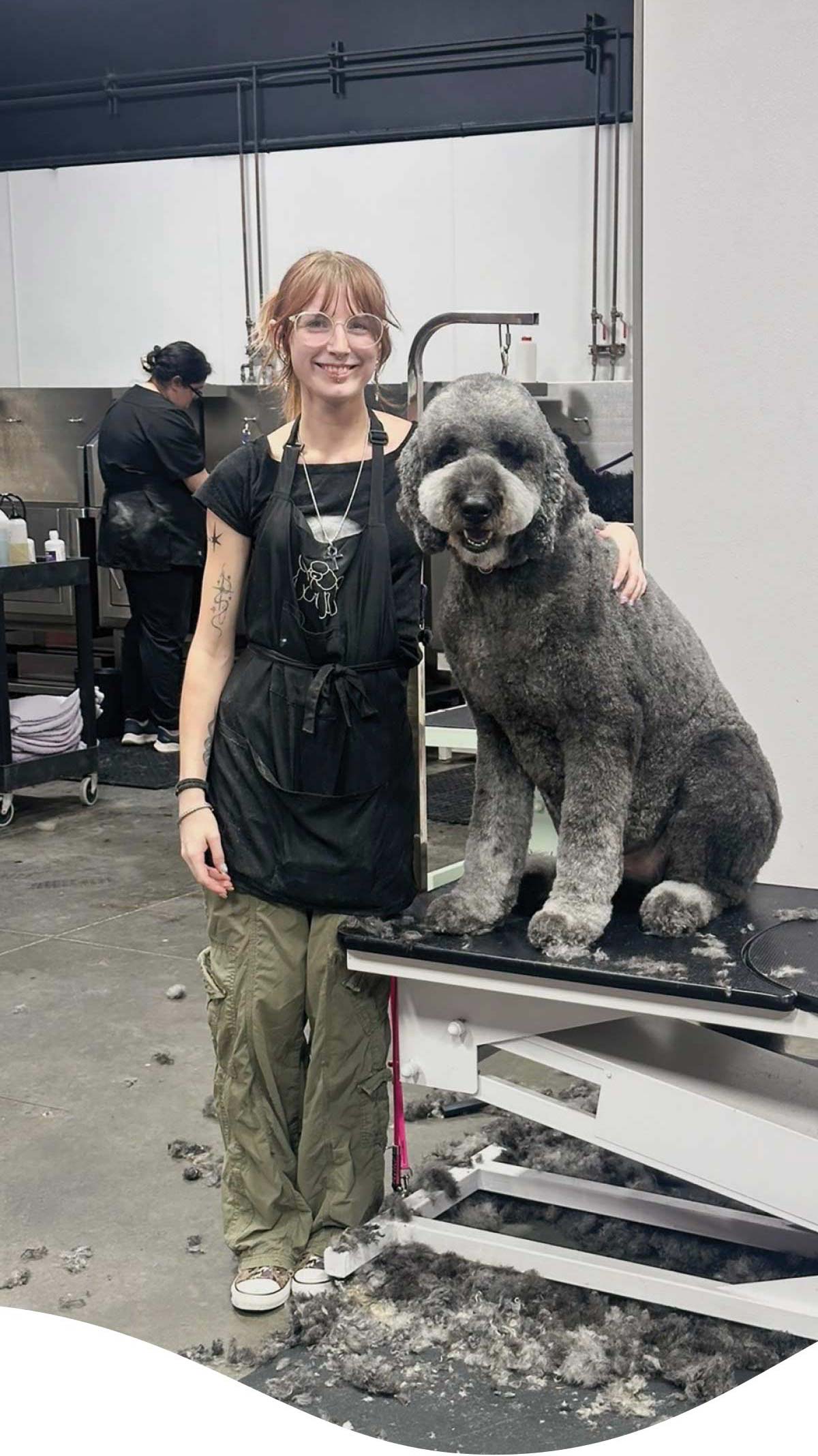A smiling groomer wearing a black apron stands next to a large grey Goldendoodle sitting on an electric grooming table.