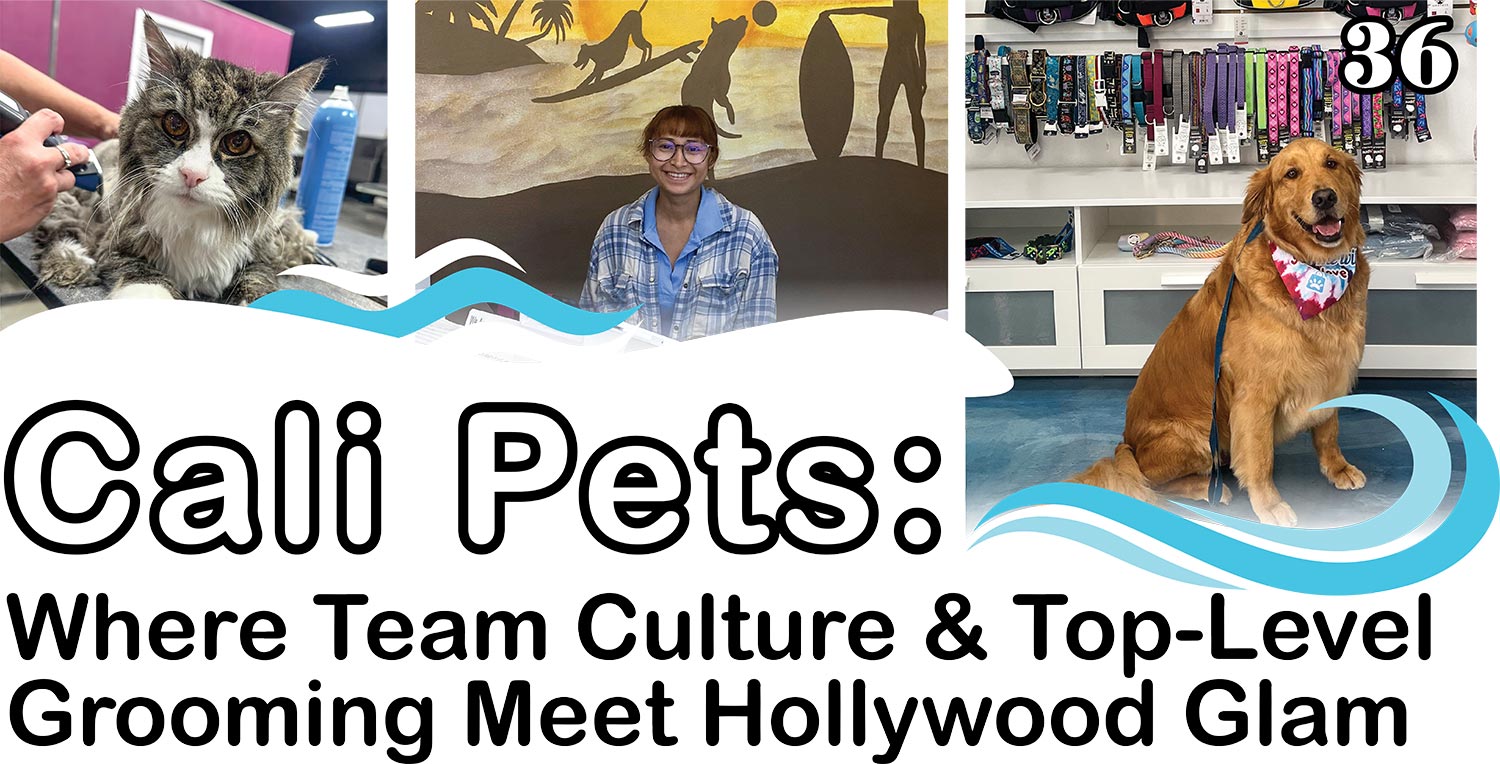 Cali Pets: Where Team Culture & Top-Level Grooming Meet Hollywood Glam