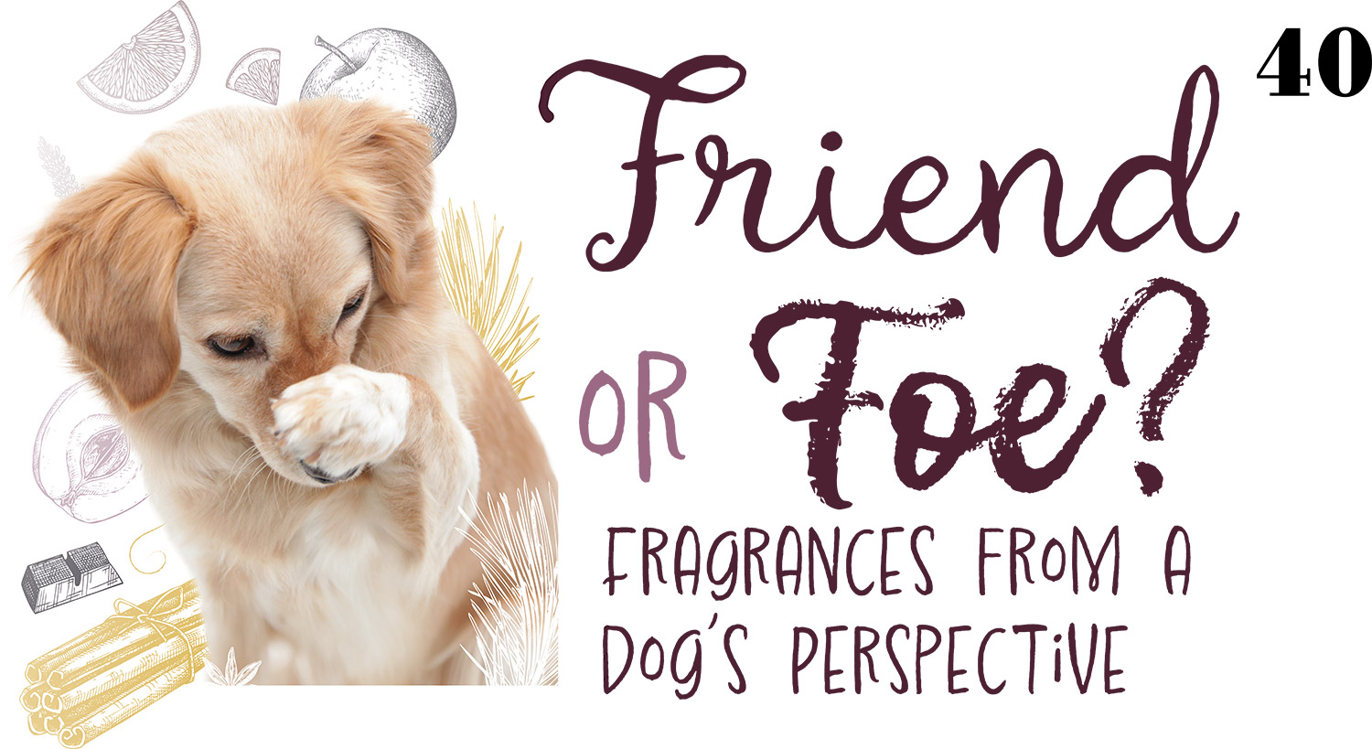 Friend or Foe? Fragrances From a Dog's Perspective