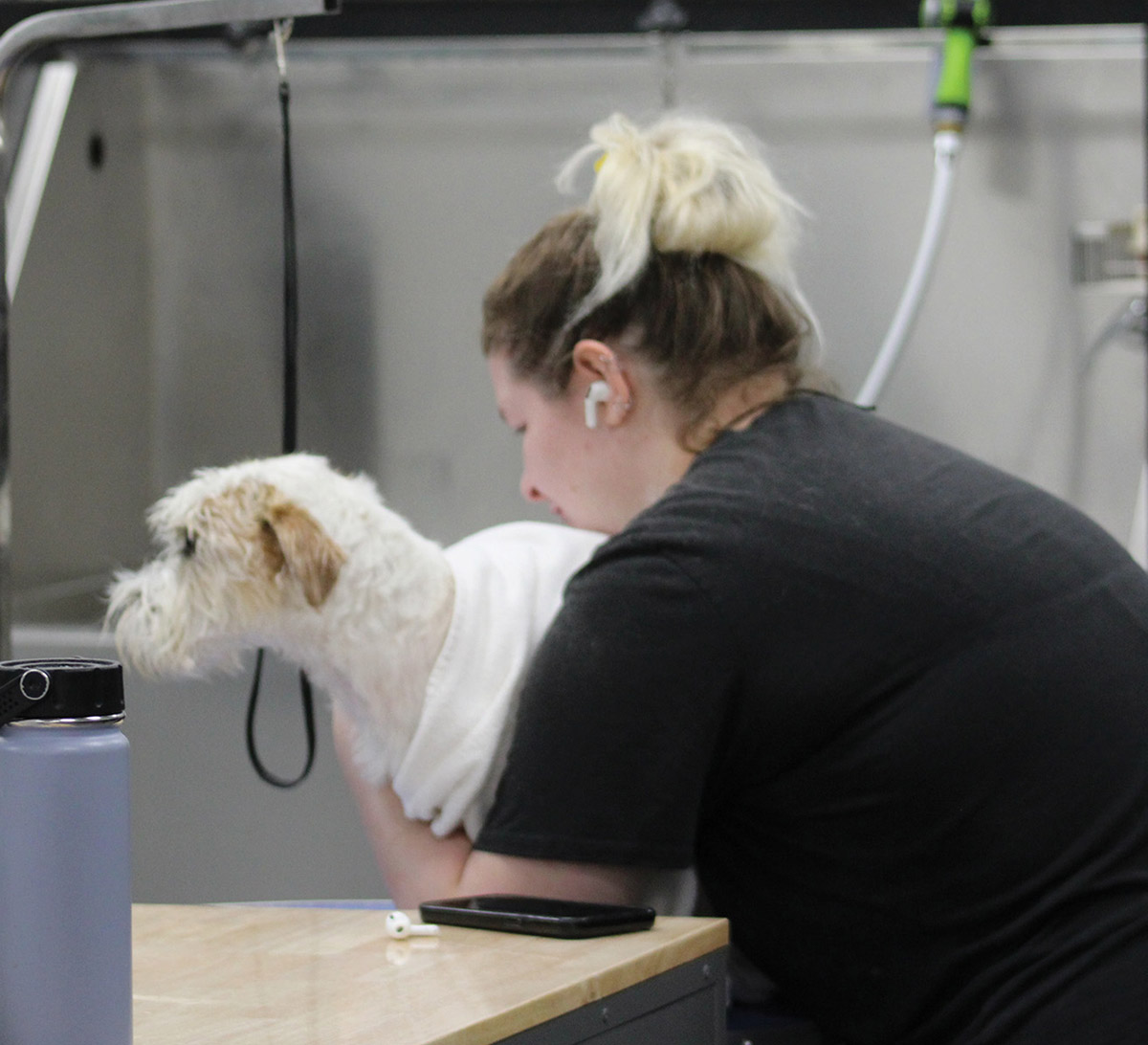 A dog groomer gently drying off a small white and tan dog wrapped in a white towel near a stainless steel wash station.