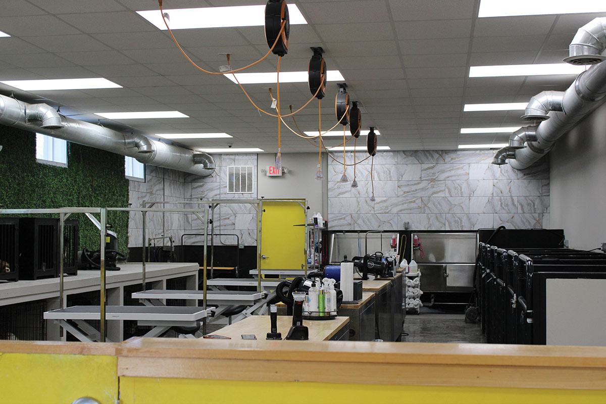 Spacious interior of a professional dog grooming facility equipped with grooming tables, ceiling-mounted power reels, stainless steel bathing tubs, and marbled tile walls.