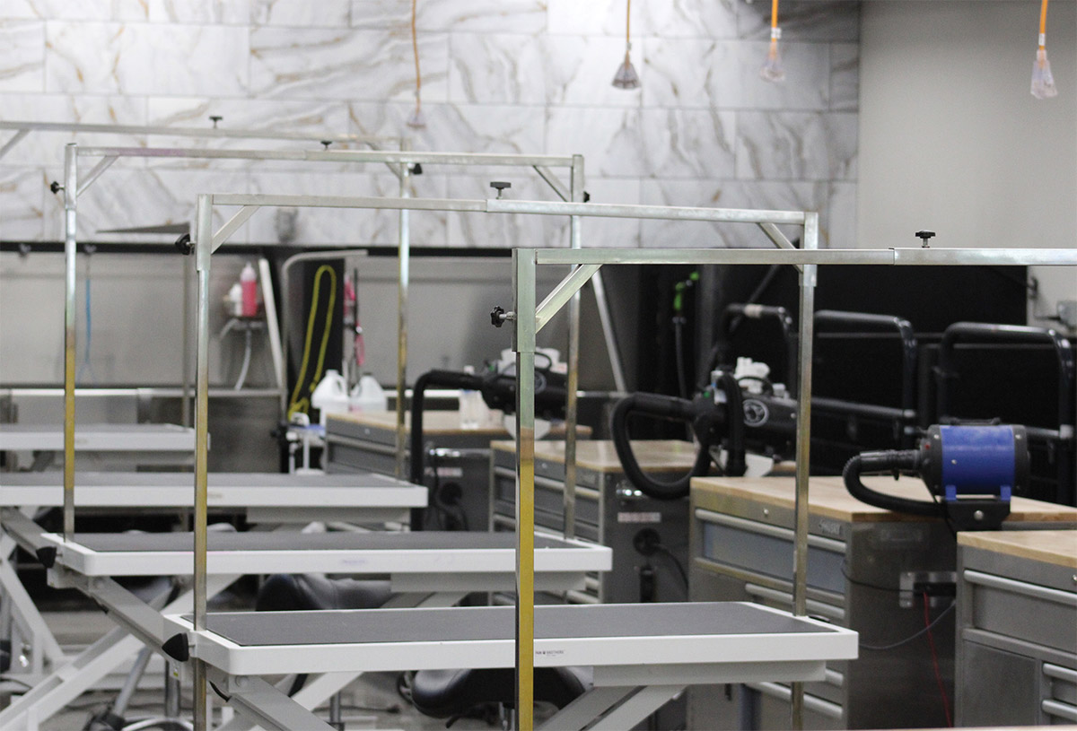 A row of empty professional dog grooming tables equipped with metal overhead arms, high-velocity blow dryers, and tool chests against a marbled tile wall.