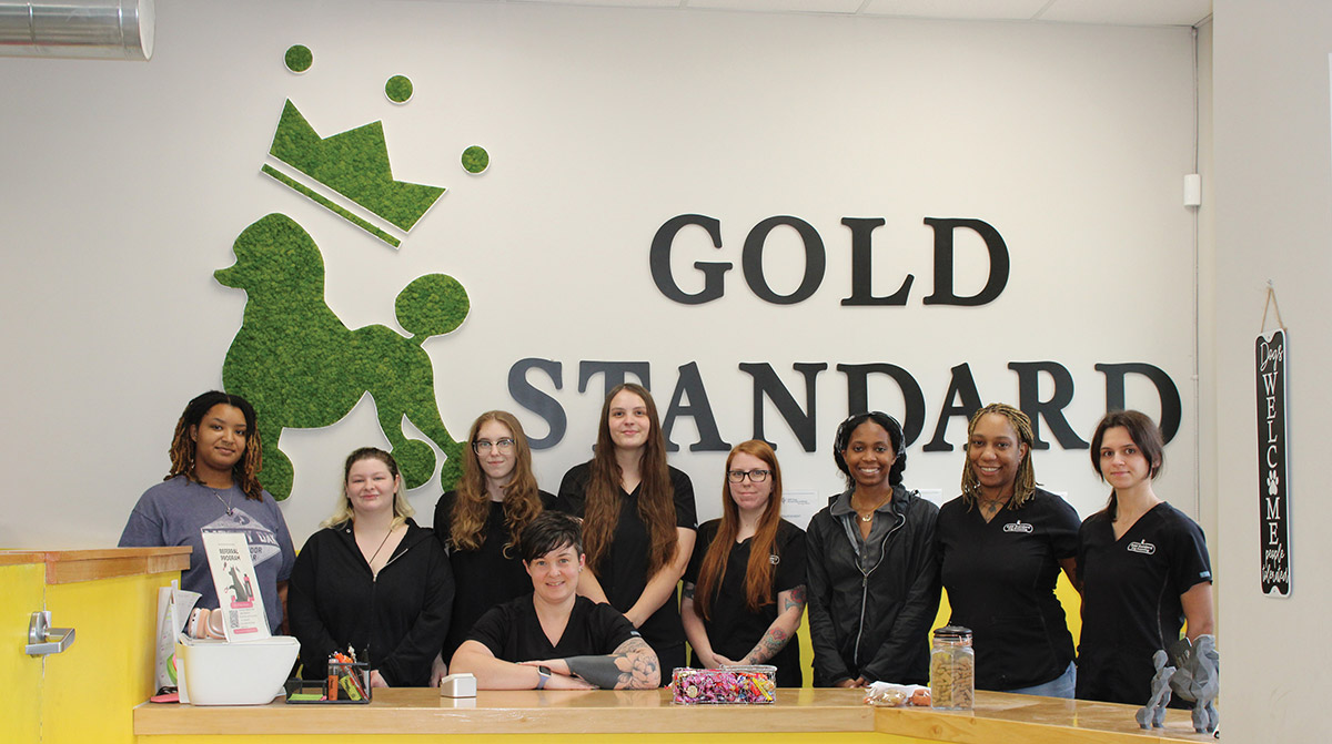 A team of nine staff members standing behind a reception counter in front of a wall with a green moss poodle logo and text reading "GOLD STANDARD".