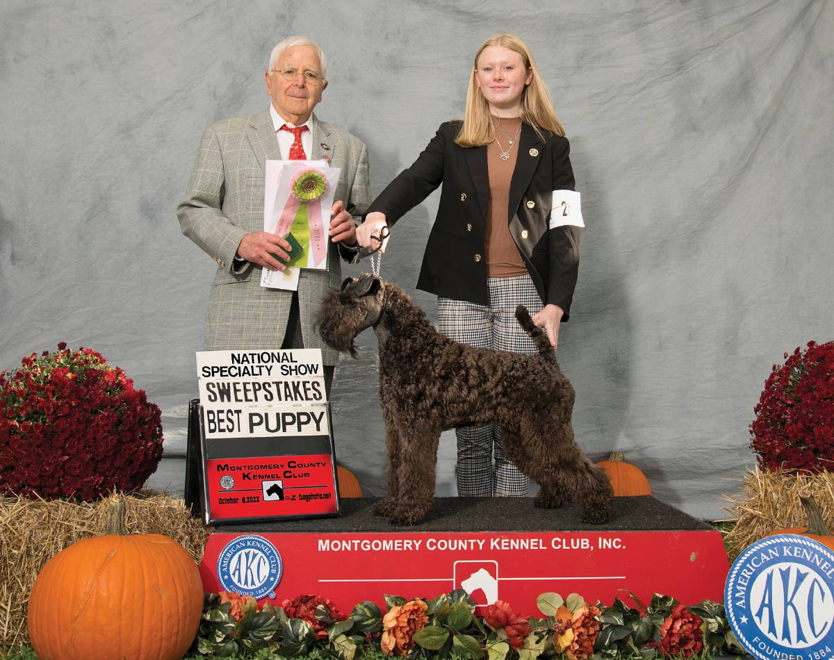 Young woman posing with a Kerry Blue Terrier dog next to a judge holding award ribbons at a dog show.