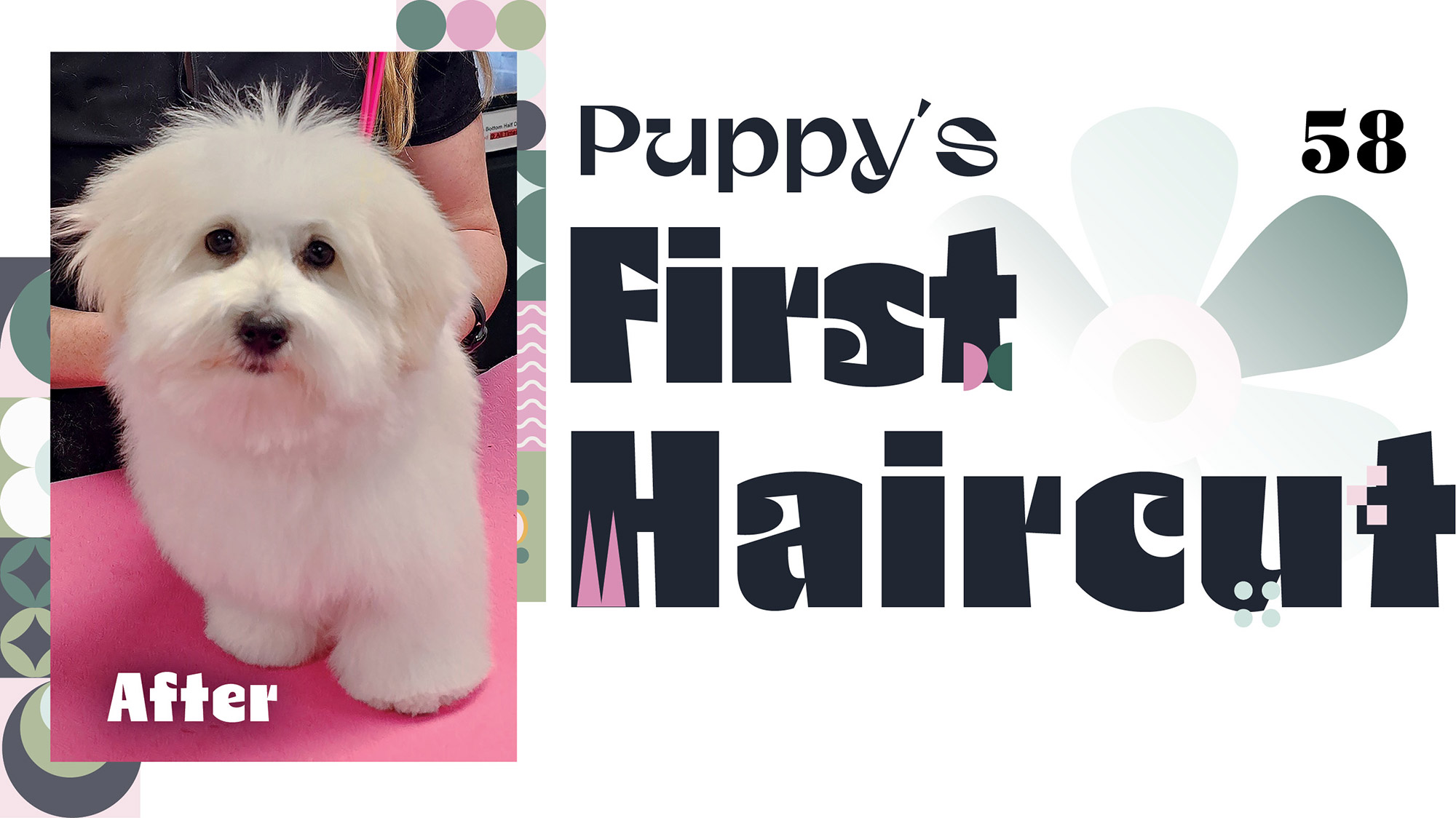 Puppy's First Haircut