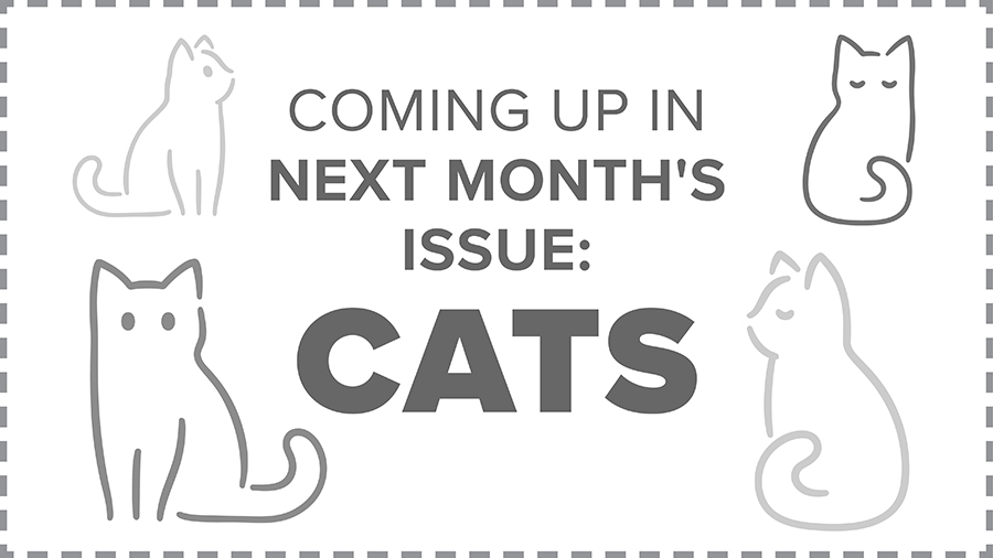 Text reading "COMING UP IN NEXT MONTH'S ISSUE: CATS" surrounded by cat line-art drawings.