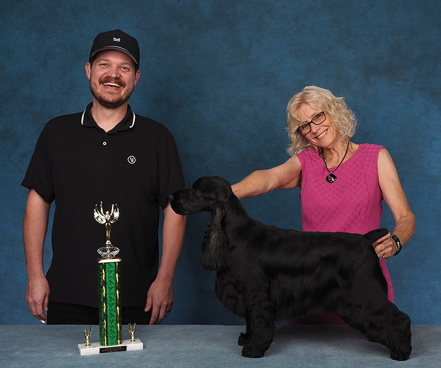 A man and a woman in a pink dress pose with a black English Cocker Spaniel standing beside a trophy.