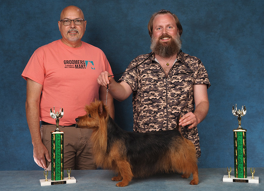 A groomer in a camo shirt poses an Australian Terrier next to a presenter and two trophies.