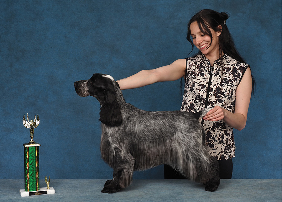 A woman in a patterned sleeveless top poses with a groomed English Cocker Spaniel beside a trophy.