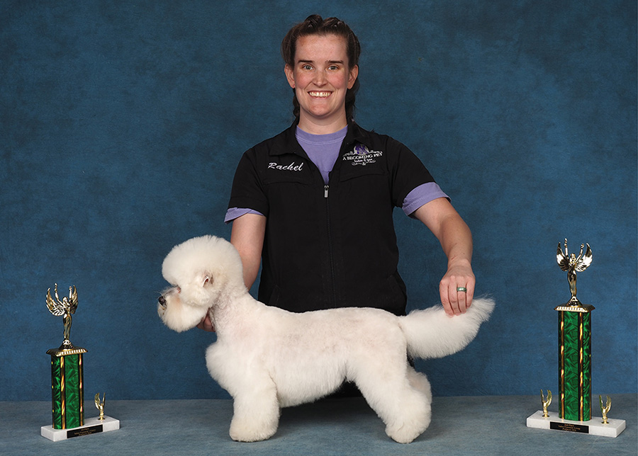 A smiling woman in a black grooming smock poses a white Bichon Frise between two trophies.