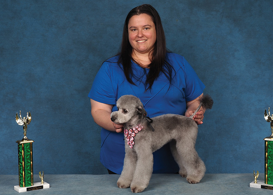 A woman in a blue shirt holds a groomed grey Poodle adorned with a pink necklace next to two trophies.